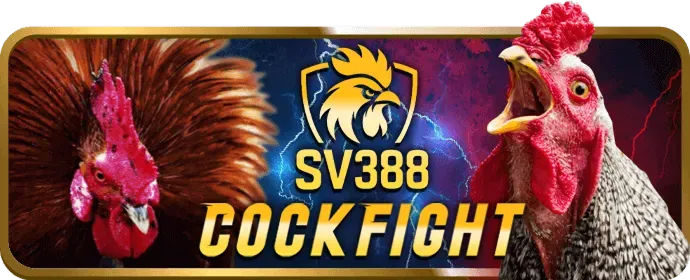 Cá cược bóng đá tại vi88 win